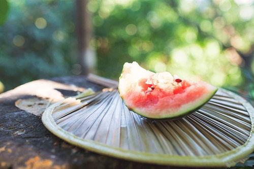 爆料网吃瓜入口,吃瓜入口，揭秘娱乐圈幕后真相