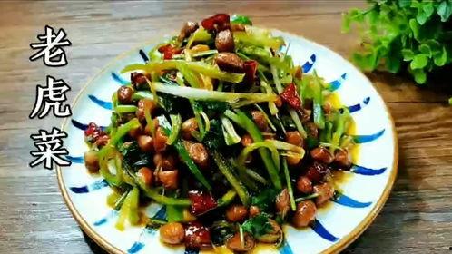 今日吃瓜51老虎菜98,揭秘老虎菜与51瓜子的神秘邂逅