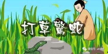 打草惊蛇的故事视频,揭秘古代智斗传奇