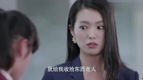 姐姐要爱视频,探寻现代女性情感生活的多元面貌
