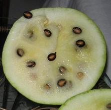麒麟瓜该不该有黑籽吃呢,可食用还是弃之如敝屣？