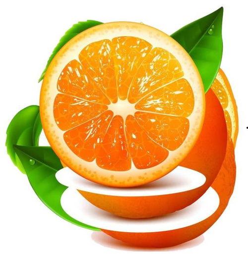 橙子大湿视频全集,揭秘生活智慧与人生哲理
