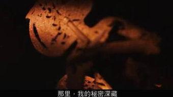 跳蚤视频,揭秘生活小妙招，轻松解决生活难题