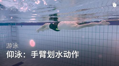 仰泳视频慢动作分解,揭秘高效泳姿的奥秘