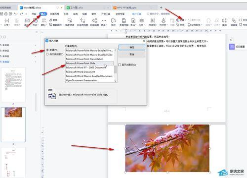 wps插入视频,轻松打造多媒体演示文稿