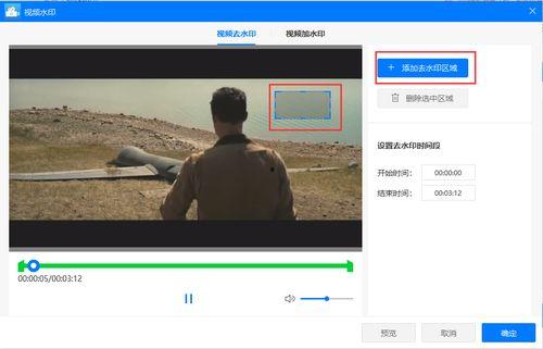 去除视频水印,还原纯净视听体验