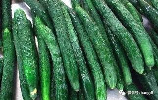 吃黑瓜的好处,揭秘吃黑瓜的五大益处