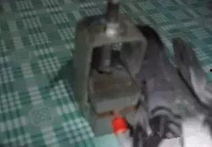 鸽子套环器视频,高效追踪与识别鸽赛高手