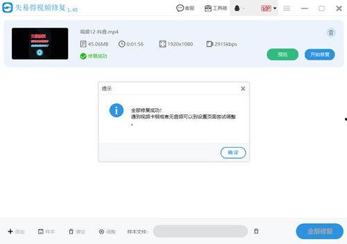 视频损坏修复,还原精彩瞬间，重拾美好回忆