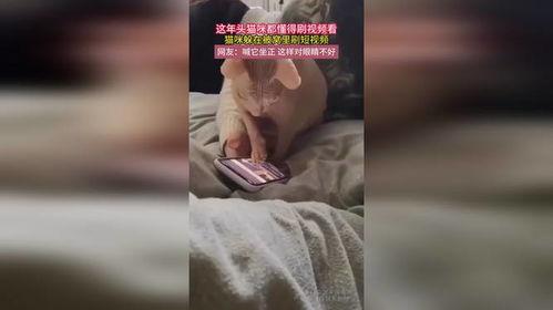 被窝在线视频,带你领略温馨时光的视听盛宴