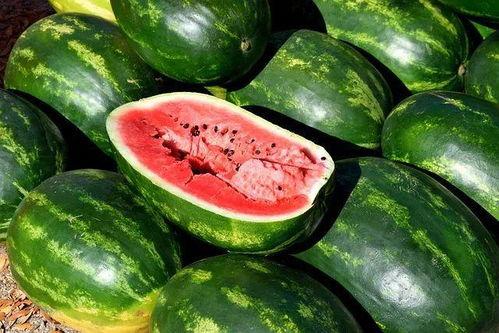 爆料吃瓜图文素材,独家爆料，吃瓜群众围观明星幕后故事