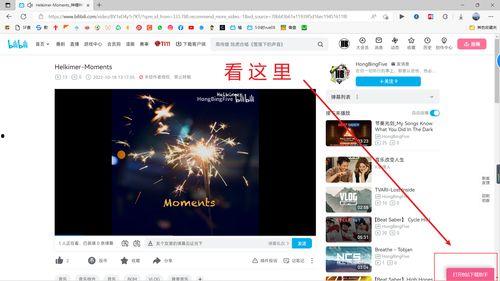 b站高清视频下载,轻松下载攻略揭秘