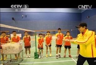 汤仙虎教学视频,揭秘高效学习之道