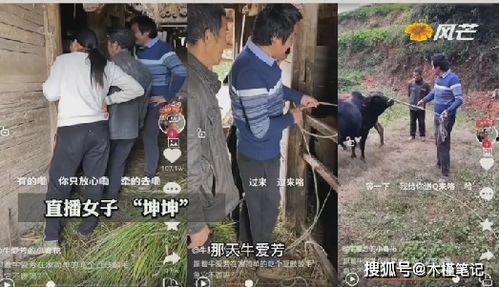 柴视频,揭秘短视频时代的魅力与挑战