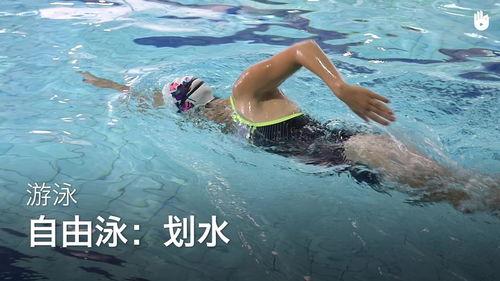 自由泳视频,跟随视频学游泳