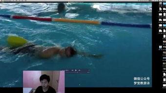 自由泳视频,跟随视频学游泳