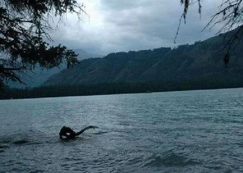 新疆喀纳斯湖水怪视频,视频揭秘神秘生物之谜