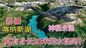 新疆喀纳斯湖水怪视频,视频揭秘神秘生物之谜