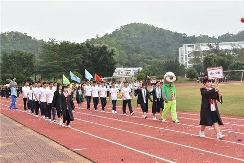 性运动会视频,激情四溢的竞技盛宴