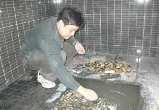 如何铺鹅卵石视频,轻松掌握视频教学步骤