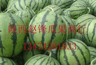 潍坊今日哈密瓜批发价
