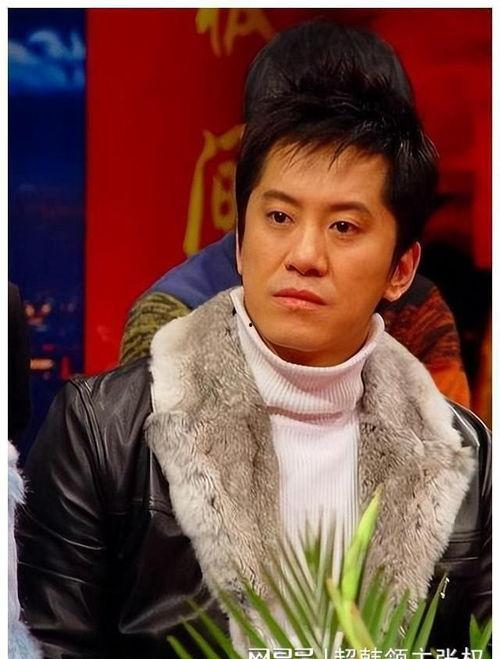 毛宁视频,探寻音乐传奇背后的故事