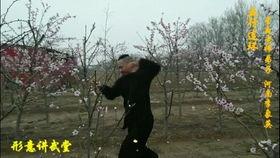 混元桩教学视频,揭秘传统武术核心功法修炼之道