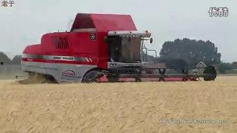 收割机收割视频,收割机高效收割现场直击
