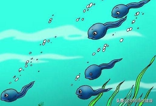 蝌蚪在线视频,蝌蚪在线视频深度解析