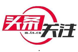 今日头条黄金蜜瓜