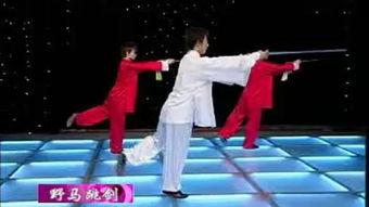 24式太极剑教学视频,24式太极剑教学视频精华解析