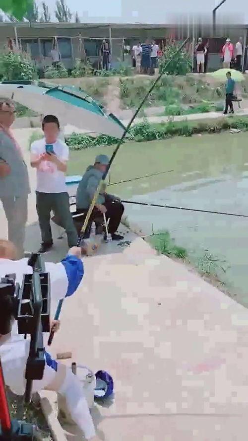 钓鱼小视频,揭秘短视频中的钓鱼魅力