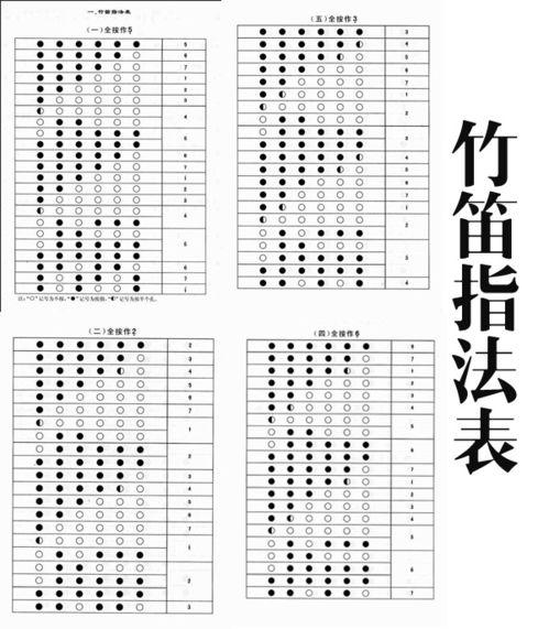 长笛入门教学视频,入门教学视频精华解析