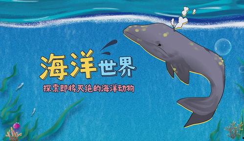 海洋动物视频,揭秘神秘海洋动物的精彩瞬间