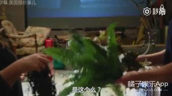 打屁股俱乐部视频,一场另类社交的视觉盛宴