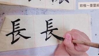 书法教学视频,一笔一划的艺术之旅