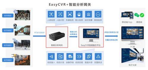 视频融合平台,打造多元化内容生态的桥梁