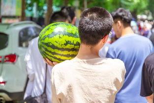 大学吃瓜爆料,那些你不知道的吃瓜爆料