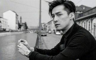 娱乐圈吃瓜爆料文件胡歌,娱乐圈风云再起，揭秘明星背后的故事
