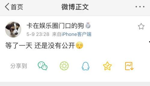 吃瓜爆料直播间有哪些,热门话题背后的真相与内幕