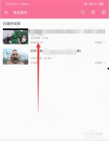 b站的视频可以下载吗,轻松获取你喜爱的内容