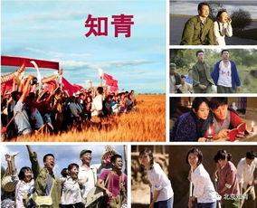 知青电视剧视频,知青岁月的青春记忆