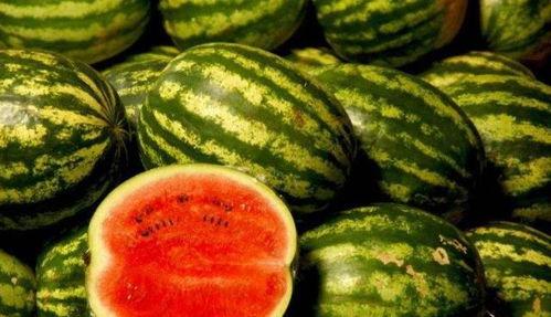 双黑吃瓜,揭秘娱乐圈的瓜田盛宴