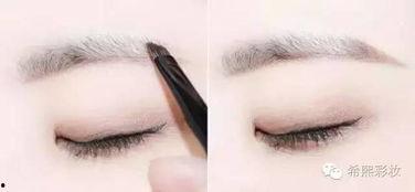 画眉叫视频,轻松掌握眉型塑造技巧