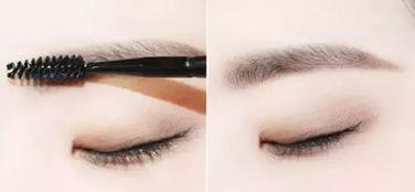 画眉叫视频,轻松掌握眉型塑造技巧