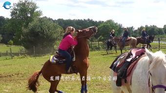 女人和马交配视频,揭秘女人与马交配的惊悚真相