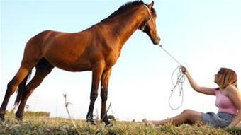 女人和马交配视频,揭秘女人与马交配的惊悚真相