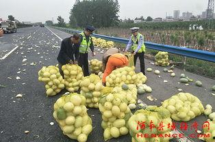 许昌今日吃瓜事件真相,真相与反思