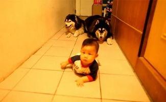 10个月宝宝爬行视频,萌动瞬间捕捉成长轨迹