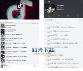 歌曲视频下载,歌曲视频下载背后的故事